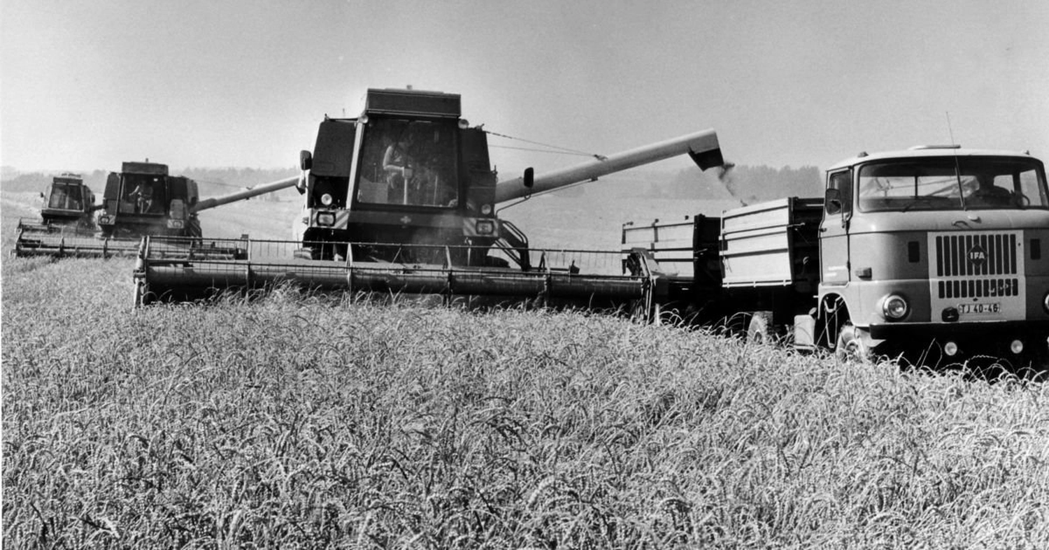 NM- Nerchau-Mutzschener - Landwirtschaft - Eine historische Schwarzweißfotografie zeigt einen Mähdrescher vom Typ Fortschritt E 512, der Getreide auf einem Feld in einen Lkw-Anhänger entlädt.
