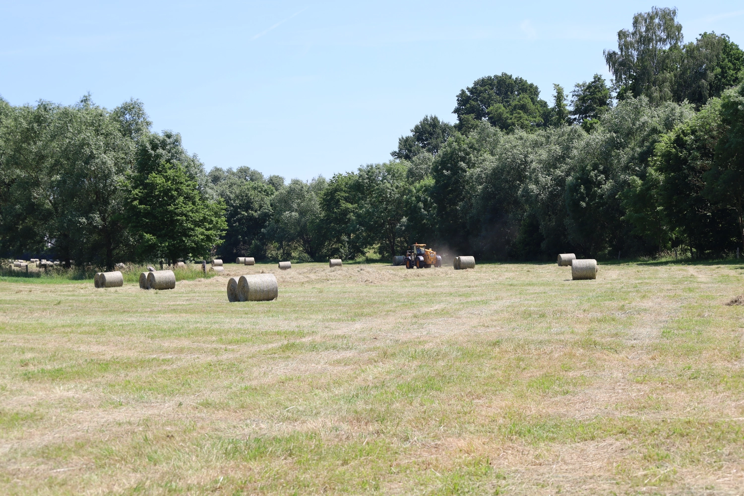 NM- Nerchau-Mutzschener - Landwirtschaft - Ein weites Ackerfeld mit verstreuten runden Heuballen und einem orangefarbenen Traktor unter strahlend blauem Himmel.