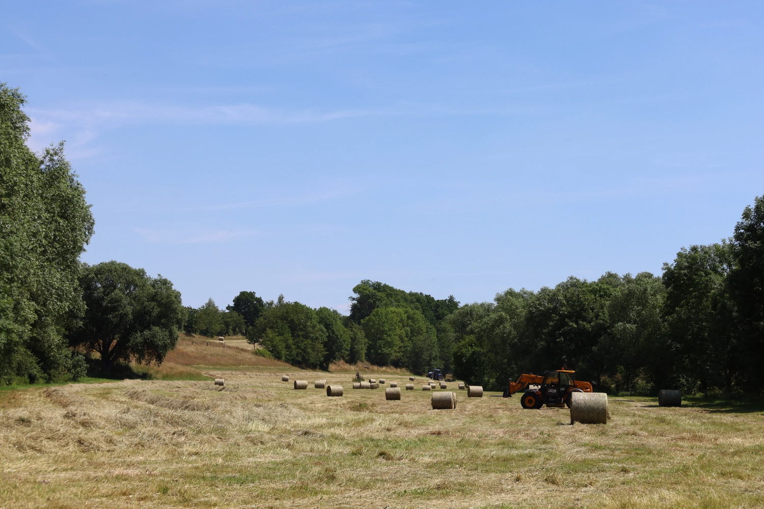 NM- Nerchau-Mutzschener - Landwirtschaft - Ein weites Ackerfeld mit verstreuten runden Heuballen und einem orangefarbenen Traktor unter strahlend blauem Himmel.