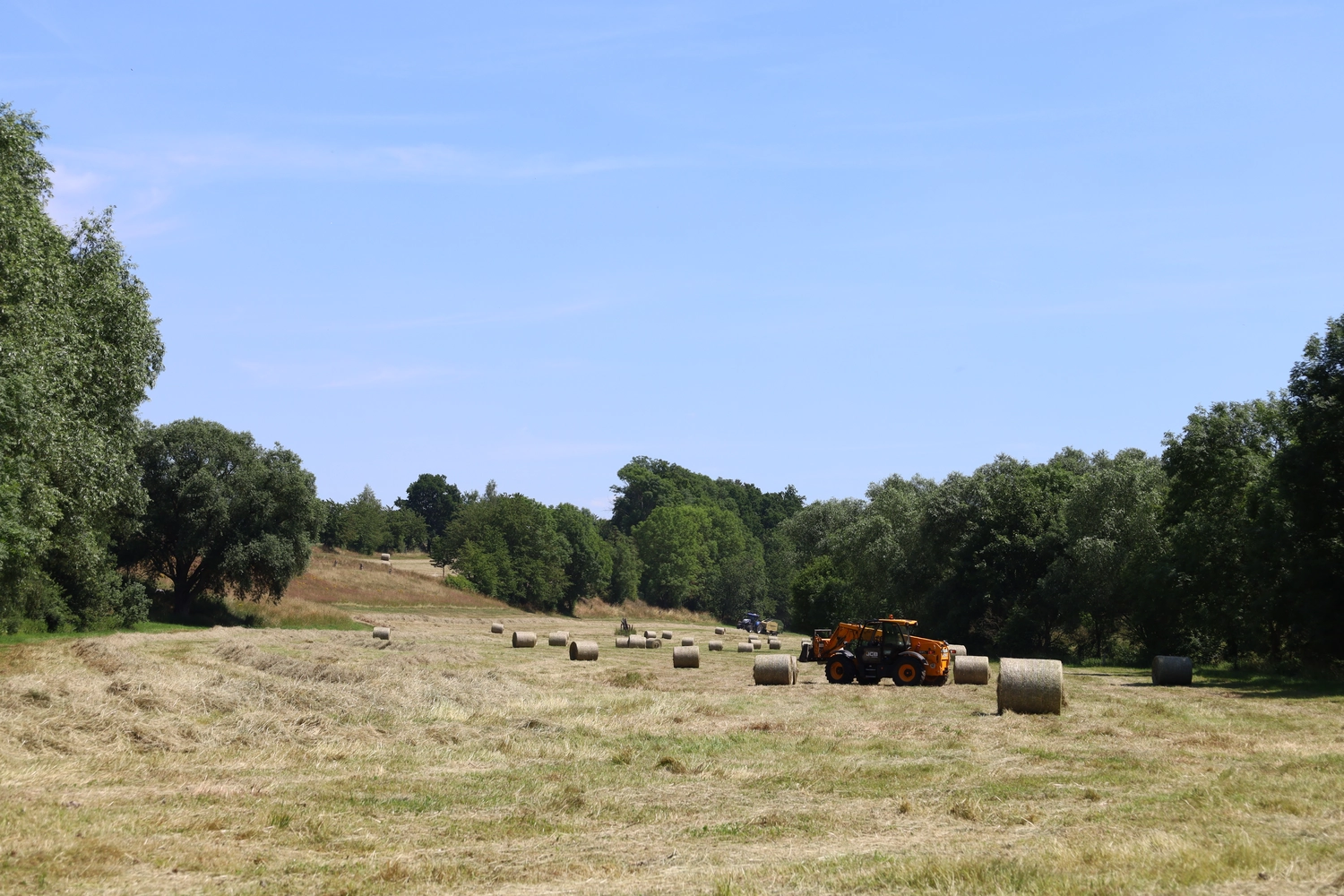 NM- Nerchau-Mutzschener - Landwirtschaft - Ein weites Ackerfeld mit verstreuten runden Heuballen und einem orangefarbenen Traktor unter strahlend blauem Himmel.