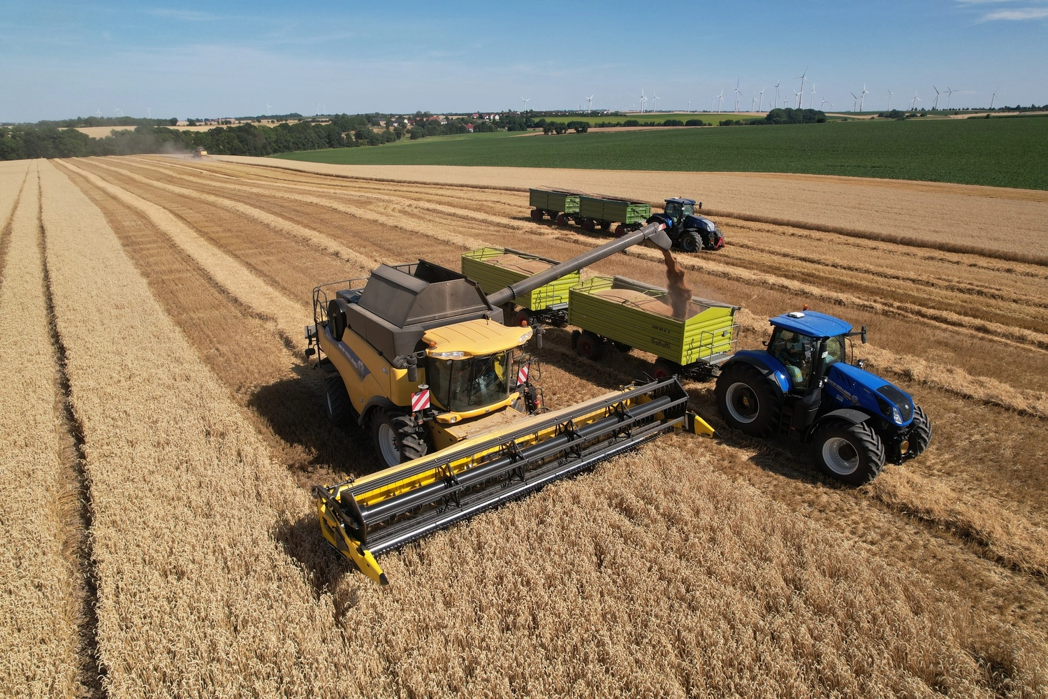 NM- Nerchau-Mutzschener - Landwirtschaft - Luftaufnahme eines gelben Mähdreschers, der in einem weiten Weizenfeld geerntetes Getreide in einen von einem blauen Traktor gezogenen Anhänger entlädt.